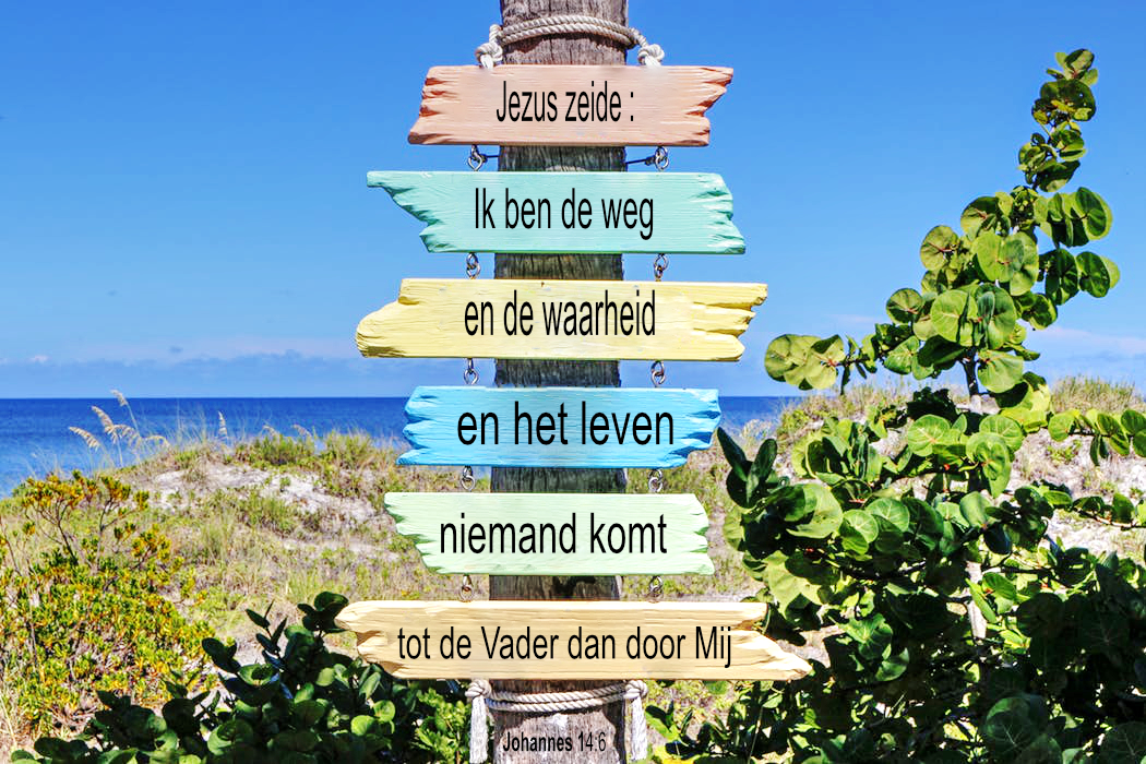 de weg